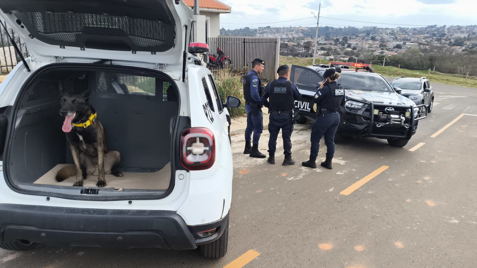 Drogas e arma suspeita de ser usada em homicídio são apreendidas em ação da PCPR e GCM em Ponta Grossa 