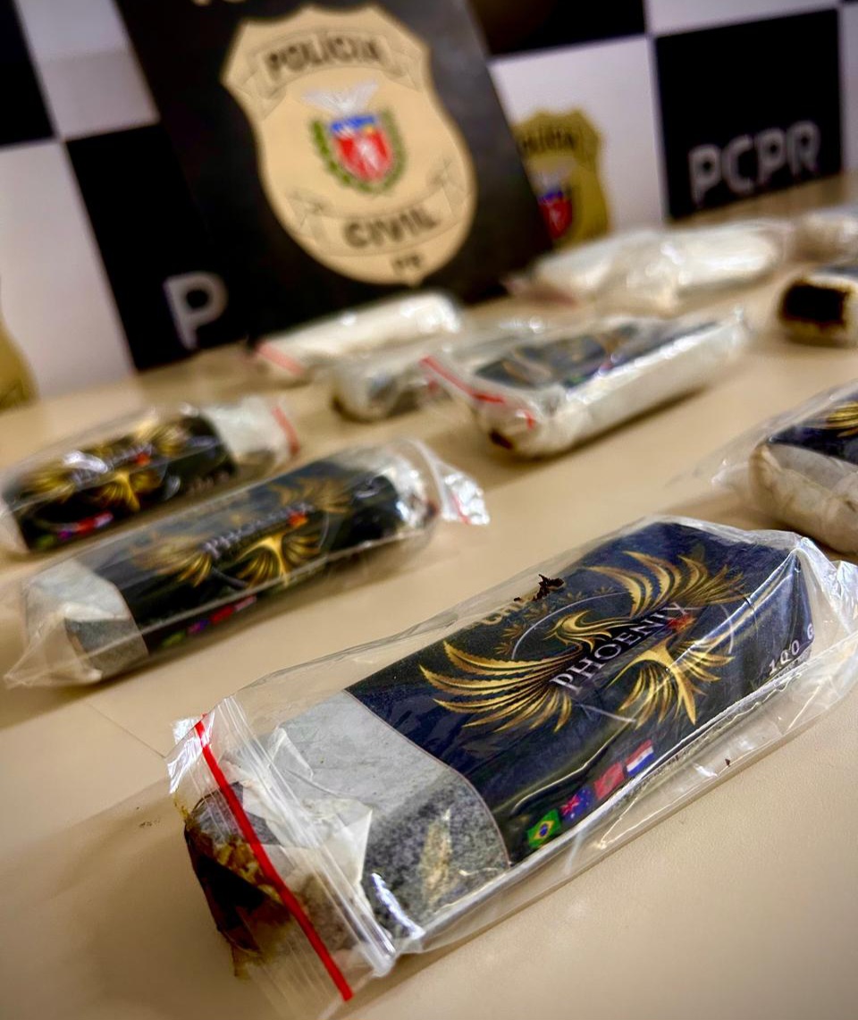 Polícia Civil e GCM apreendem quase 3 kg de haxixe em PG