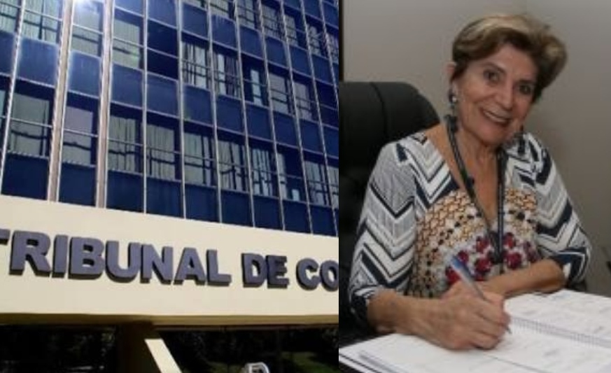 TCE abre investigação sobre terceirização da merenda escolar da rede municipal de ensino de PG