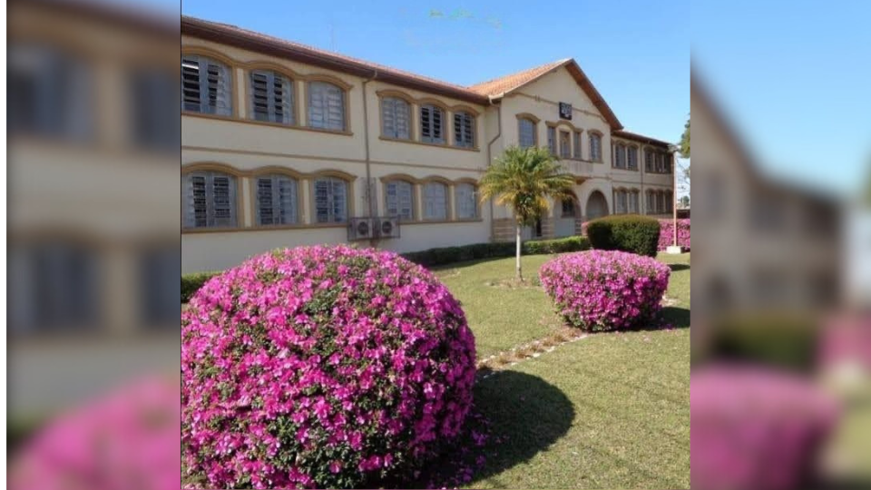 Colégio Meneleu oferta curso gratuito em Administração em PG