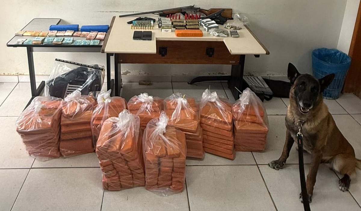 PM faz balanço de megaoperação em Ponta Grossa ; Veja números 