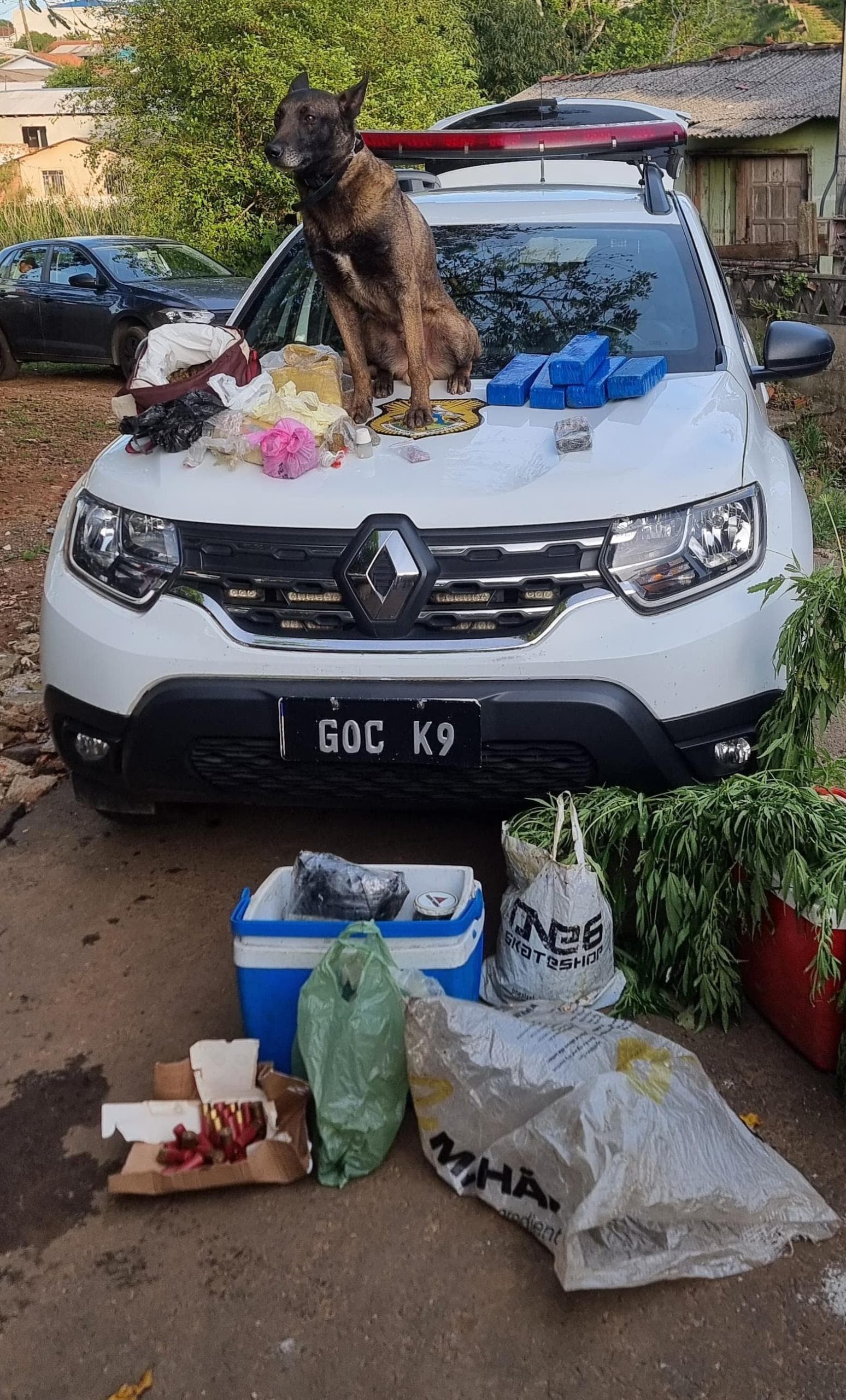 GCM apreende mais de 17 kg de drogas e munições no bairro Boa Vista em PG