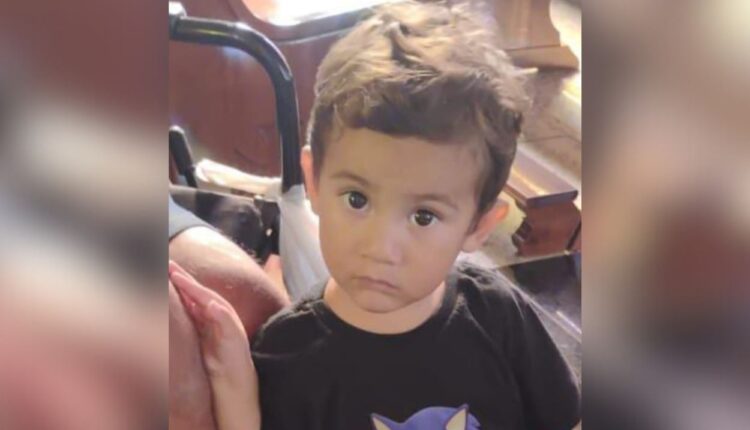 URGENTE: Familiares e forças de segurança tentam localizar criança de 2 anos que desapareceu em cidade dos Campos Gerais