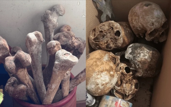 PM encontra coleção macabra de crânios humanos em apartamento de bairro de alto padrão