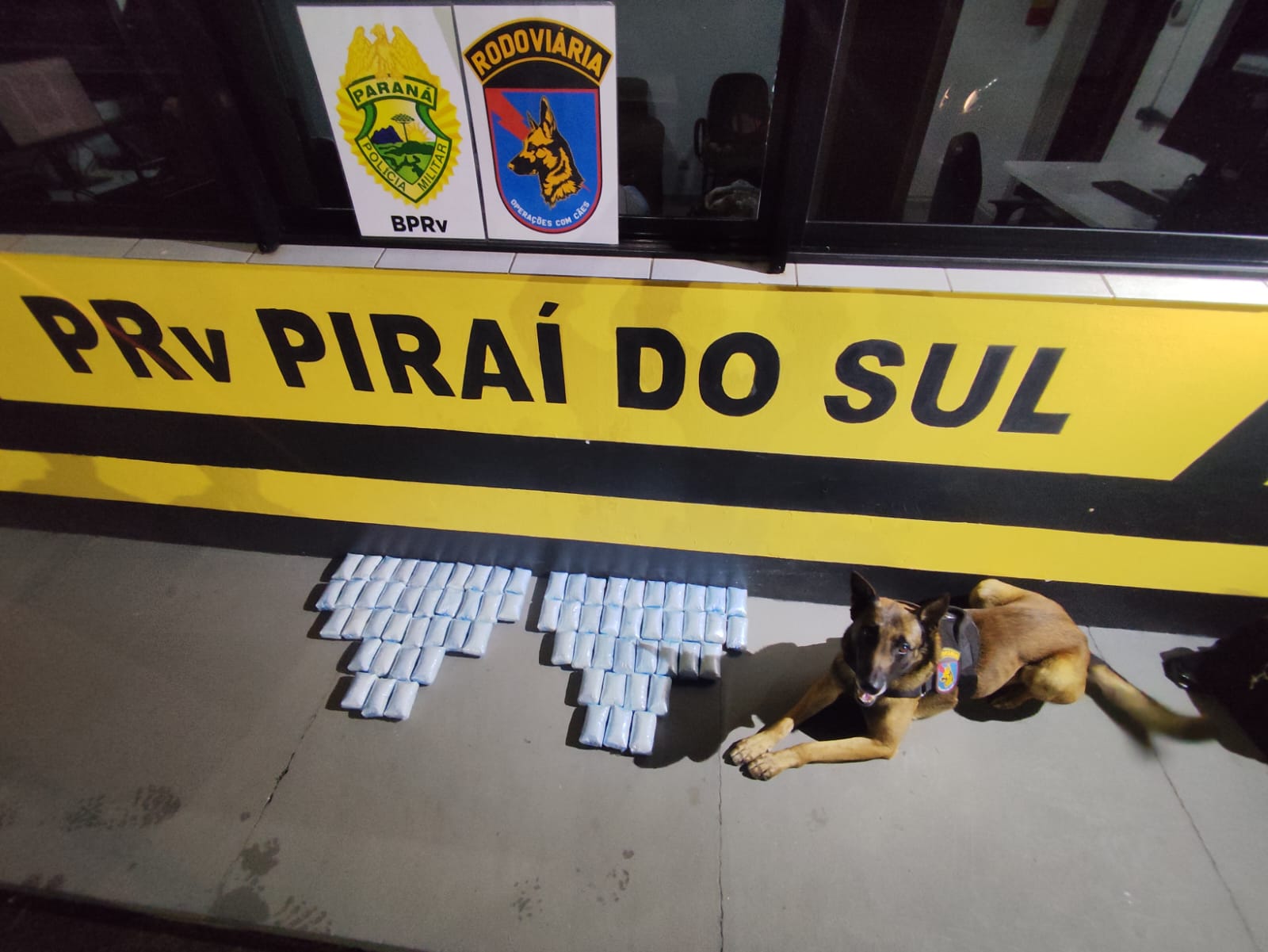 Operação com cão apreende mais de 14 kg de haxixe e prende duas mulheres em Piraí do Sul