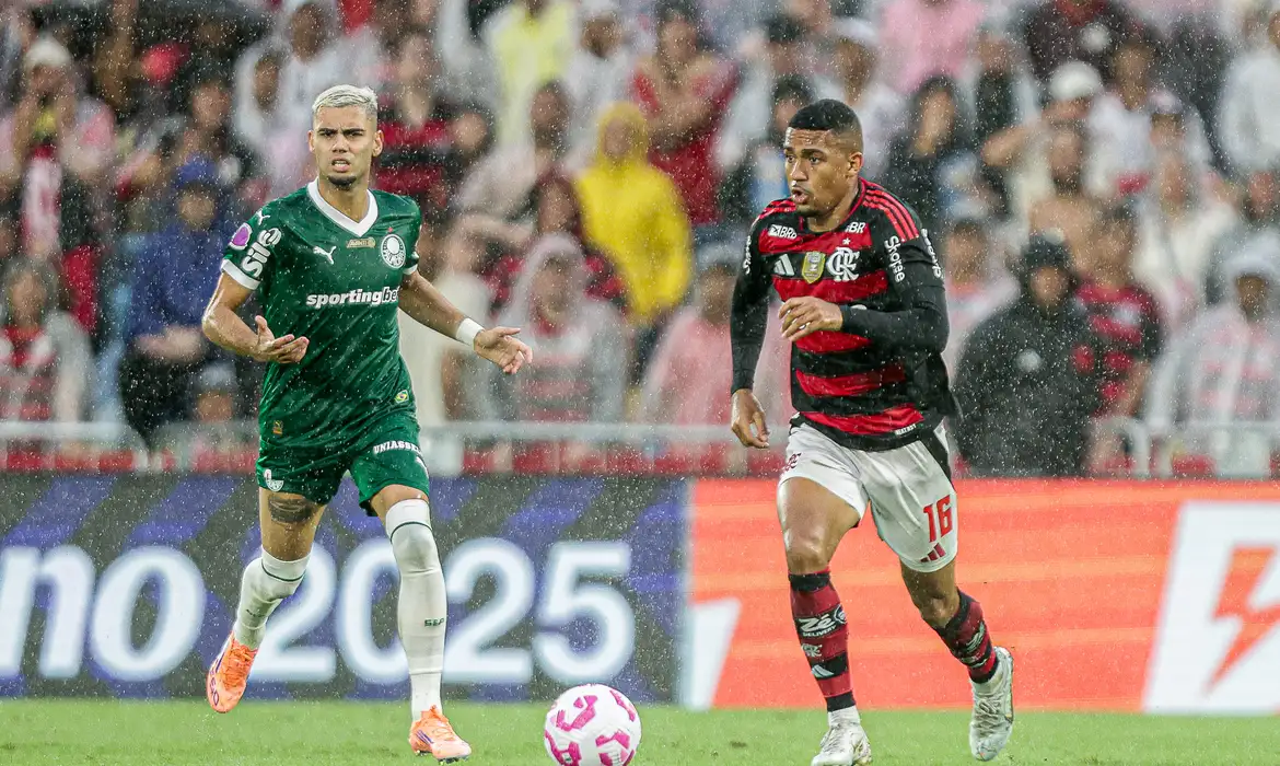 ONDE ASSISTIR: Palmeiras e Flamengo decidem 1º tetra brasileiro na Libertadores