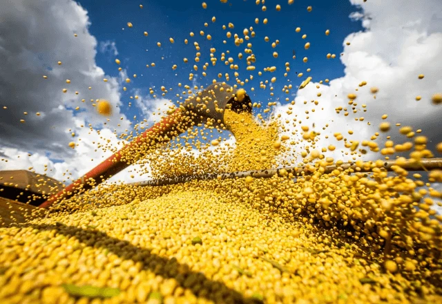 Exportações do agronegócio batem recorde em outubro e somam US$ 15,49 bilhões