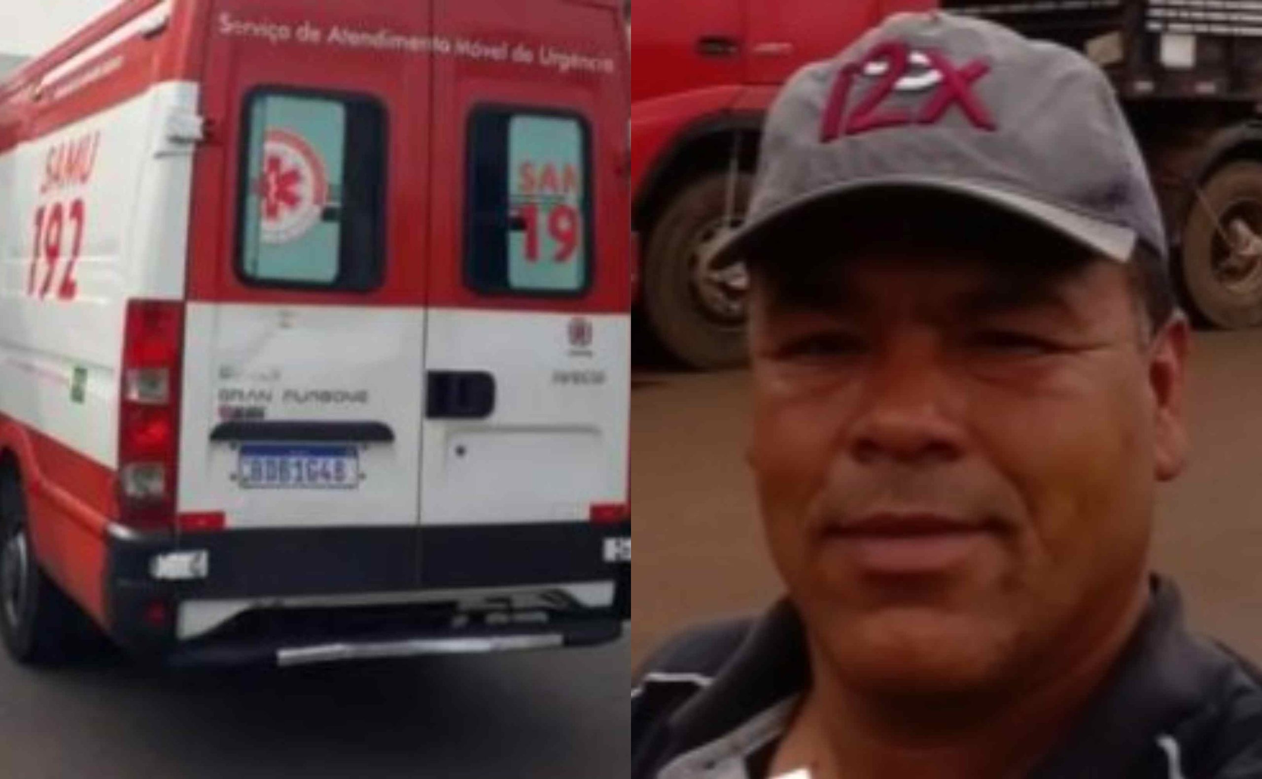 Motorista de 47 anos morre após ataque de abelhas em Ponta Grossa