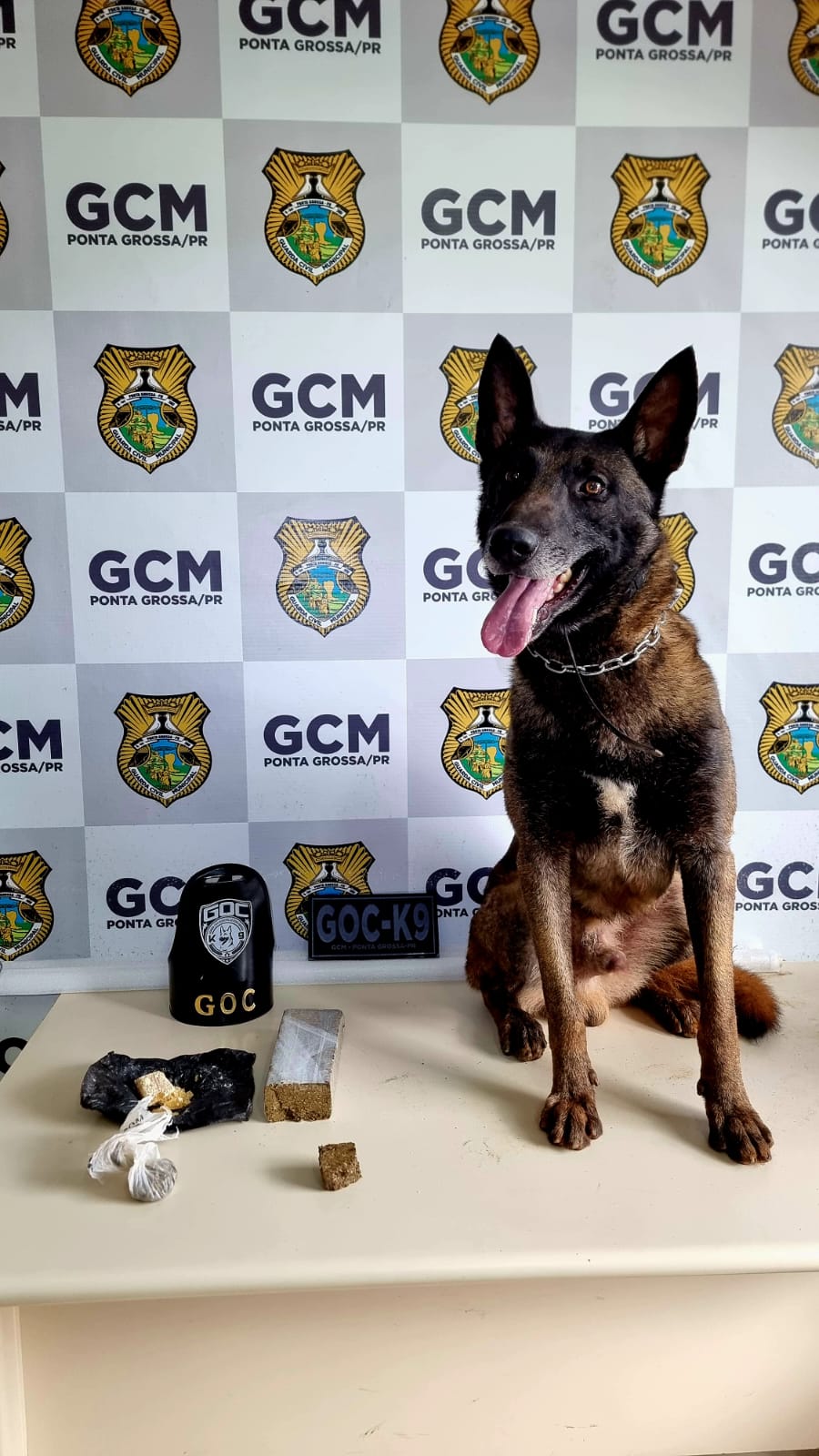 Guarda Municipal apreende mais de meio quilo de drogas no bairro Boa Vista