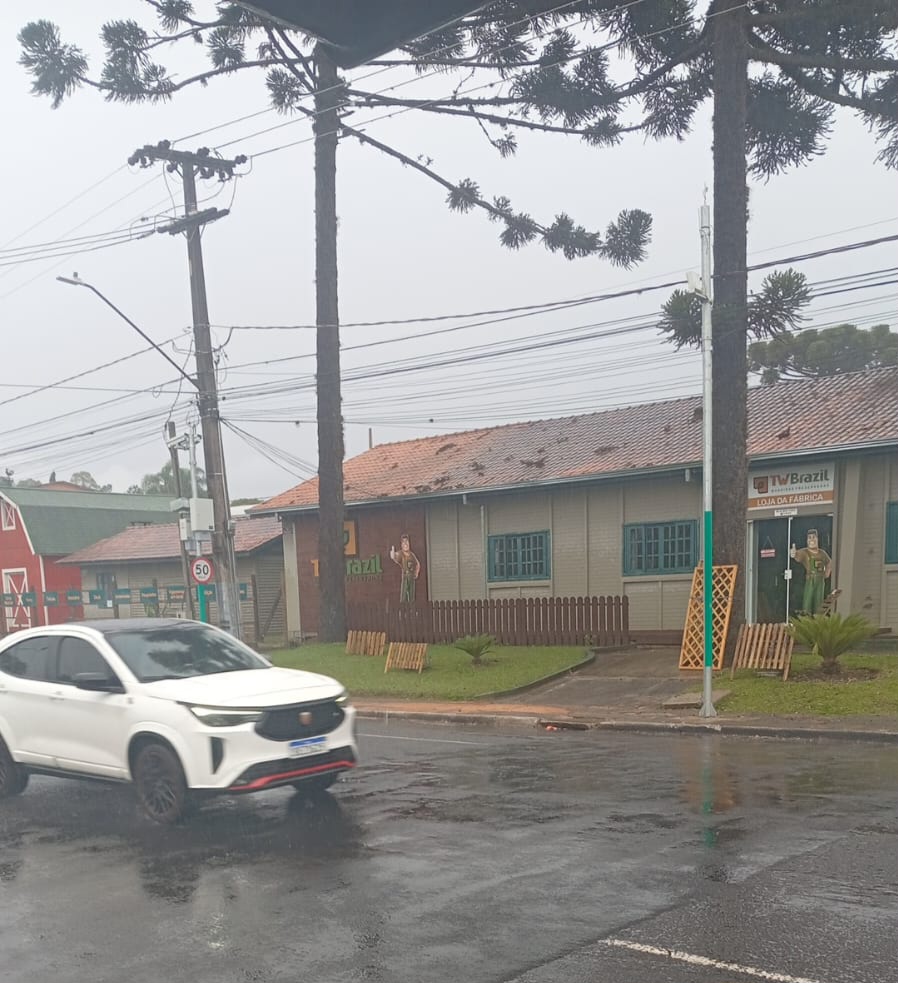 Moradores do Jardim Carvalho reclamam de retirada de lombada em PG