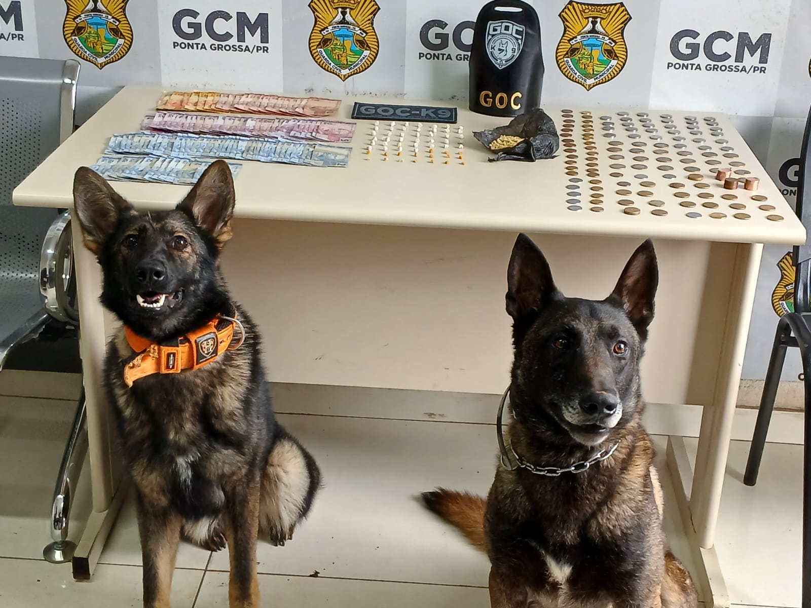 GCM desmantela possível ponto de tráfico de drogas no bairro Boa Vista, em PG