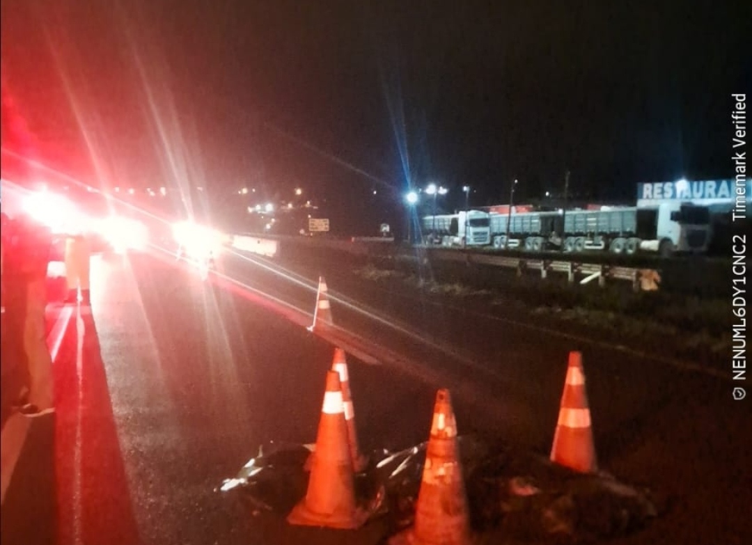 Pedestre morre após atropelamento na PR-151, em Piraí do Sul