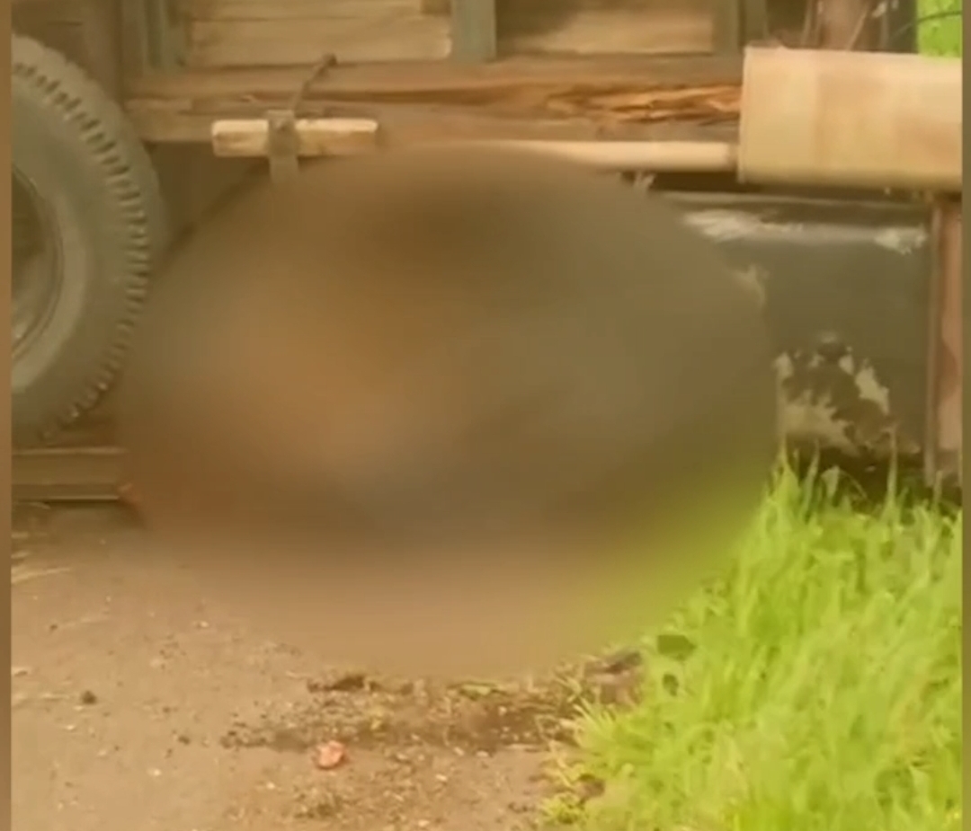 Vídeo: Caminhoneiro morre esmagado após tombamento de caminhão