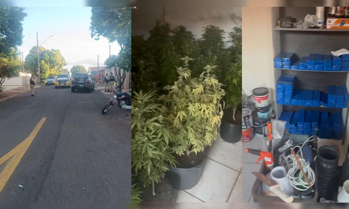 Homem morre em confronto com a PM; polícia encontra 100 kg de maconha dentro da casa dele