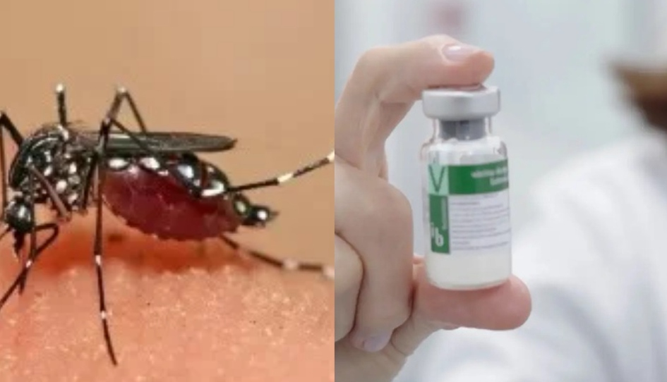 Anvisa publica registro da vacina contra a dengue do Butantan