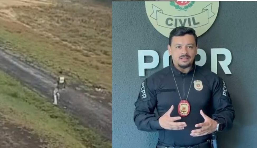 PCPR apura homicídio em cidade dos Campos Gerais e suspeito de fazer emboscada contra a vítima é preso 
