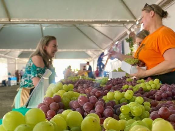 43ª Festa da Uva que acontece em janeiro terá novidades; confira