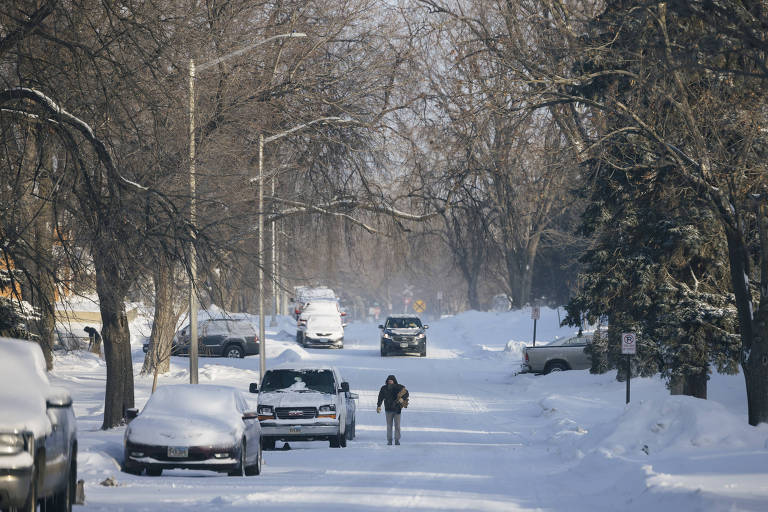 Central Park quebra recorde de queda de neve de 121 anos