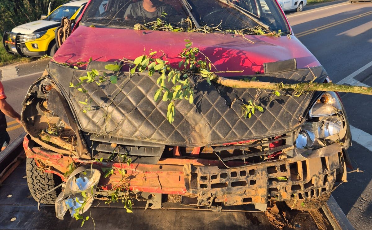 Colisão deixa motociclista com ferimentos moderados e motorista é levado à delegacia nos Campos Gerais