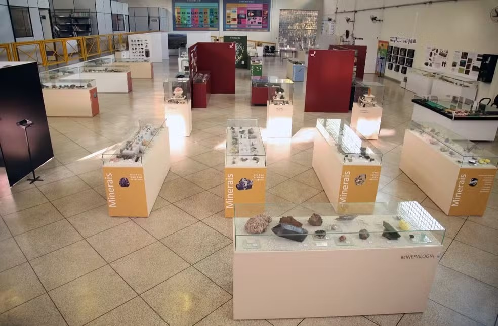 Mais de 2,6 mil fósseis mais antigos que os dinossauros são descobertos no Paraná