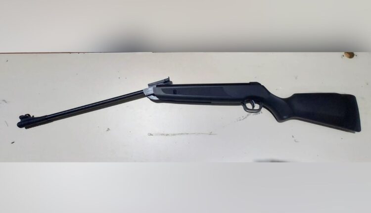 Homem é levado à delegacia por suspeita de maus-tratos a cães em Castro