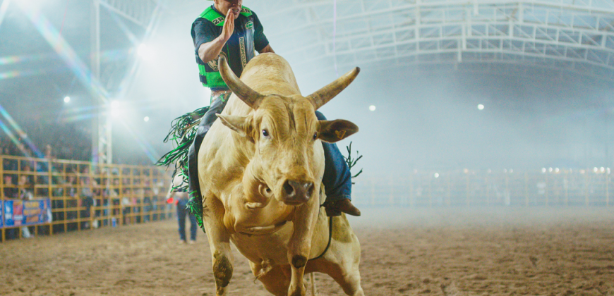 Festa do Peão de Castro terá quatro dias de shows e rodeio em março