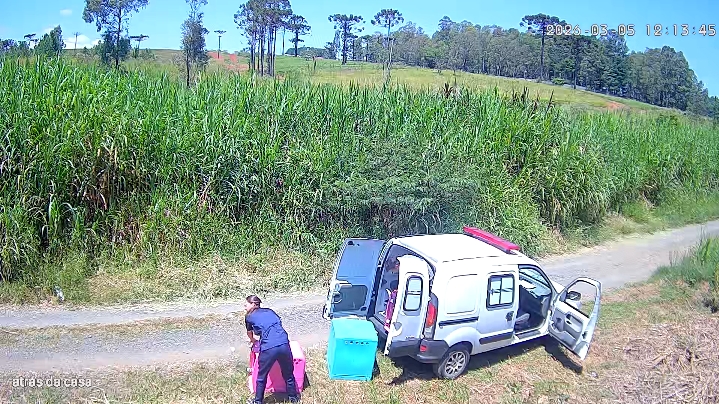 Vídeo mostra suposto abandono de cães recém-castrados e gera denuncia contra clínica responsável pelo CRAR em Ponta Grossa