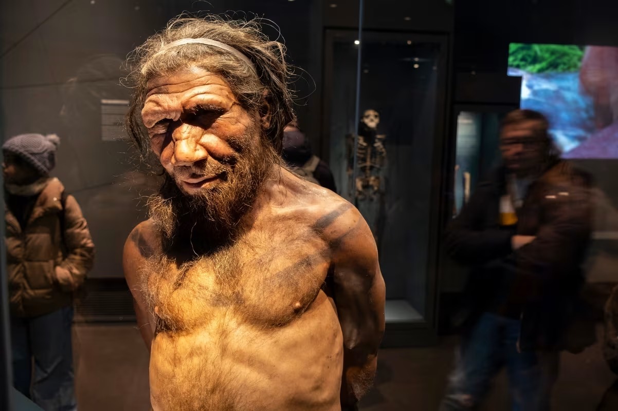 Novidades na história humana: mapa aponta sexo entre neandertais machos e humanas