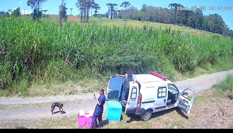 Justiça suspende contrato da Clinicão em PG