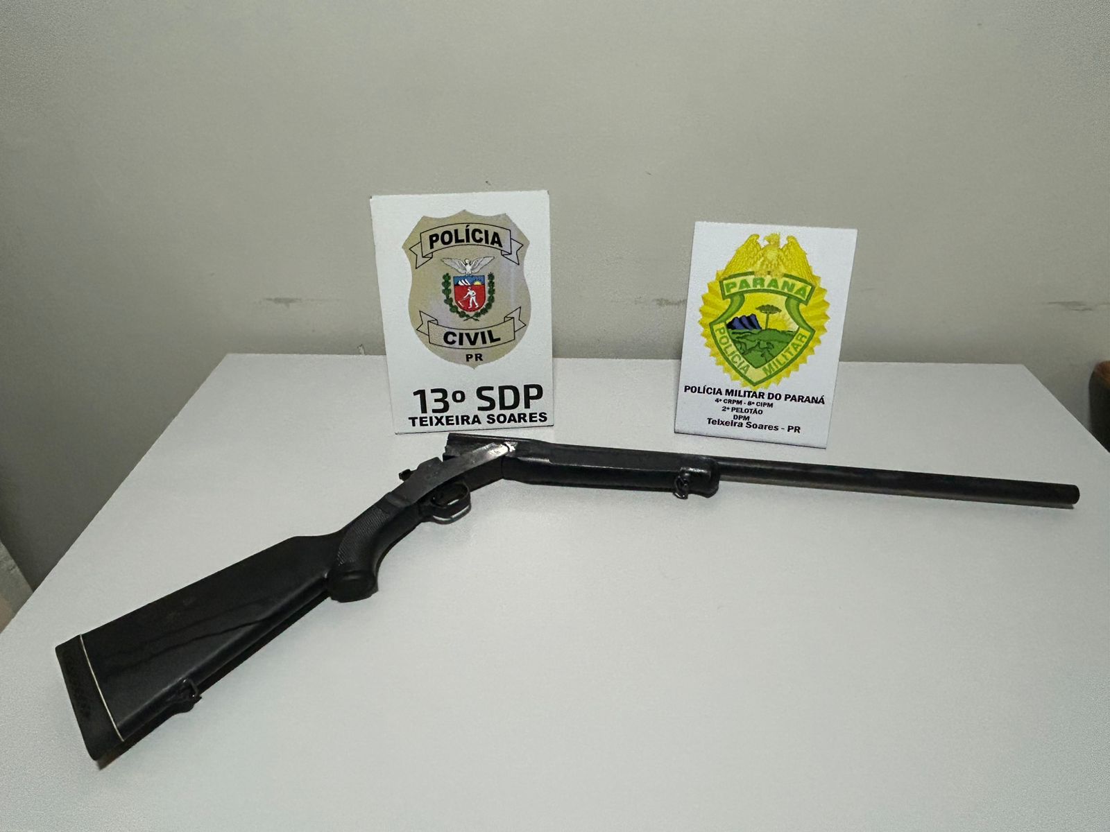 Forças de segurança realizaram ação conjunta para identificar e localizar suspeitos de praticar graves maus-tratos