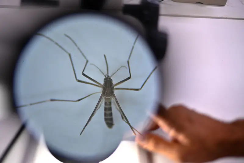 Suspensão da vacina contra dengue do Butantan: 42 casos graves e duas mortes suspeitas