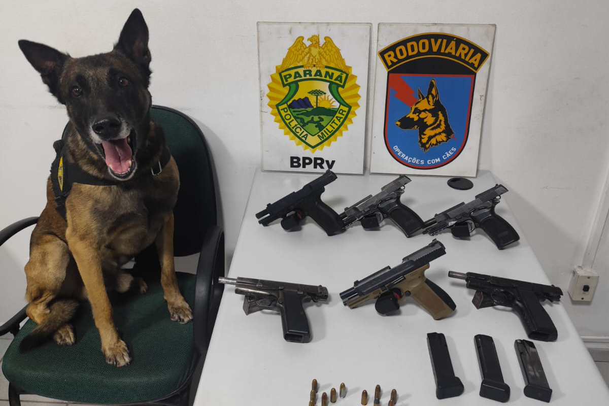 PMPR apreende seis pistolas em ônibus em operação de combate ao tráfico de armas em Piraí do Sul