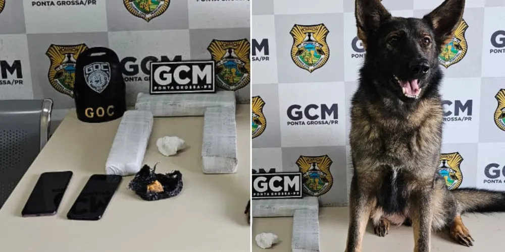 Homem é preso transportando drogas escondidas em bomba de encher colchão em Ponta Grossa