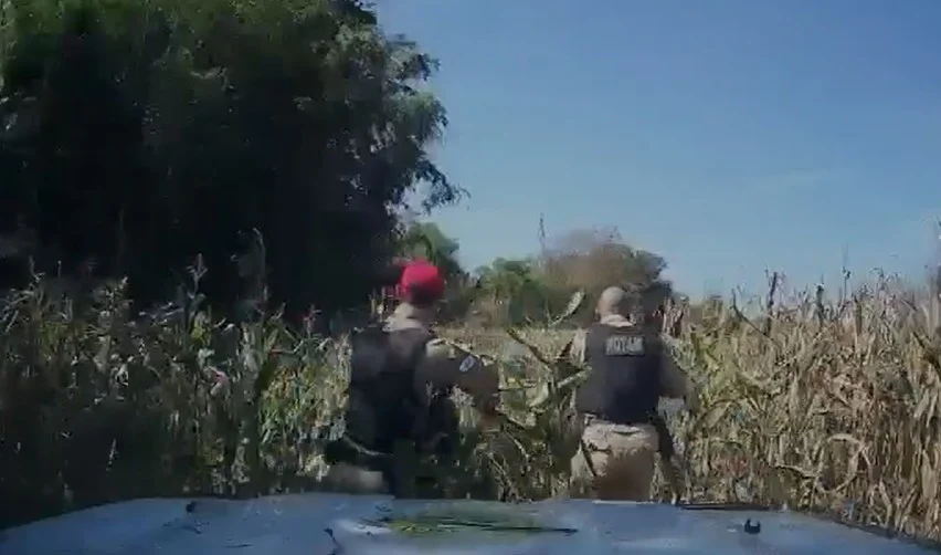 Polícia Militar apreende mais de 451 quilos de drogas avaliadas em R$ 1,7 milhão no Paraná