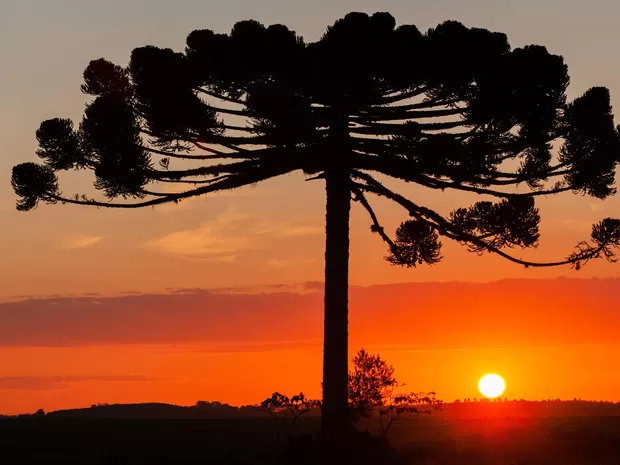 Quinta-feira será de tempo firme e máxima de 23°C em Ponta Grossa