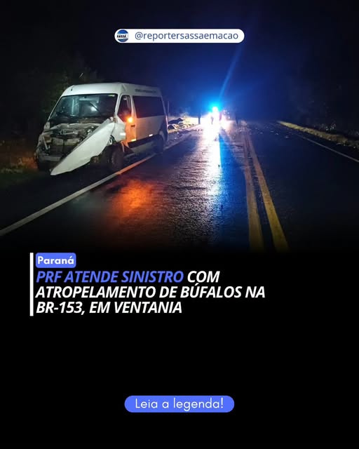 Micro-ônibus com pacientes atropela búfalos na BR-153 e deixa seis feridos em Ventania