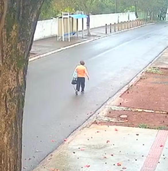 Suspeito de matar idosa de 70 anos desaparecida após viagem para comprar propriedade é preso no Paraná