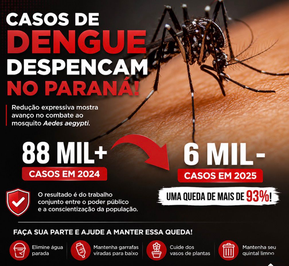 Casos de dengue despencam no Paraná e passam de 88 mil para menos de 6 mil