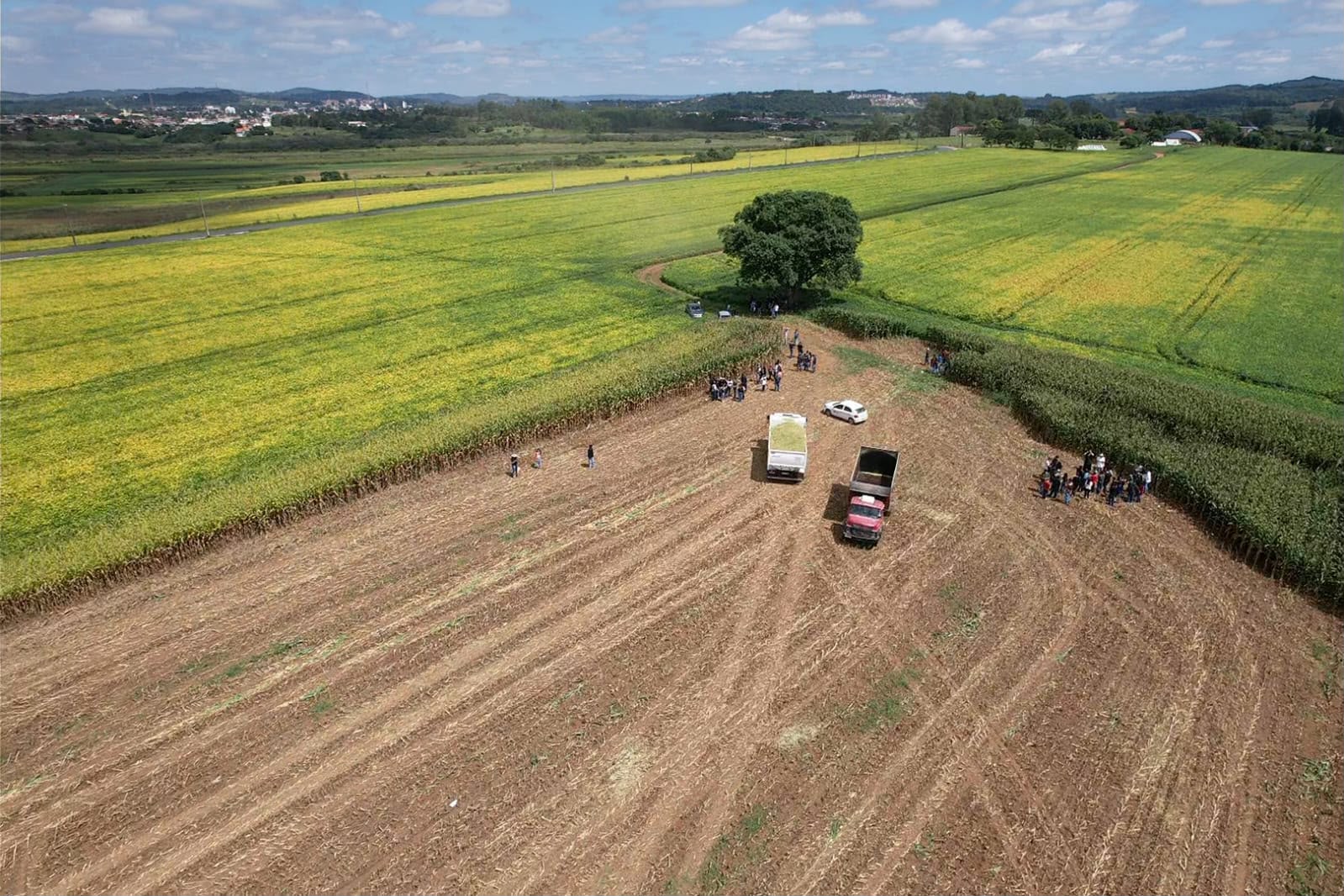 Alunos de colégios agrícolas do Paraná poderão operar tratores a partir dos 16 anos
