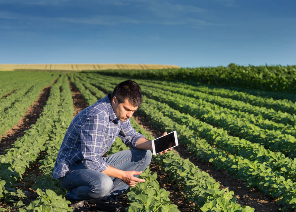 22º Congresso Paranaense de Engenheiros Agrônomos reúne profissionais em Ponta Grossa