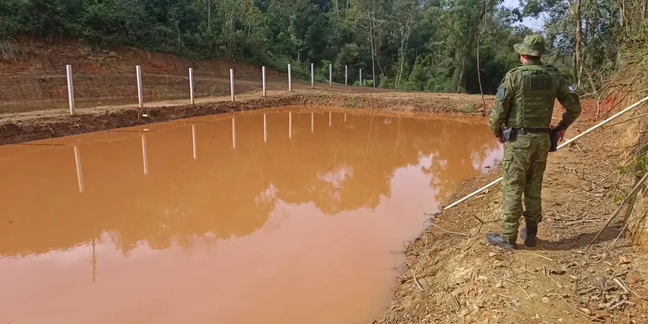 Polícia Militar Ambiental aplica multa de R$ 7 mil por dano à vegetação nativa em Ponta Grossa