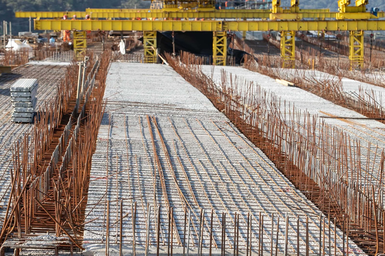 Da pequena empresa familiar a grandes obras estruturais: como funciona o licenciamento ambiental no Paraná