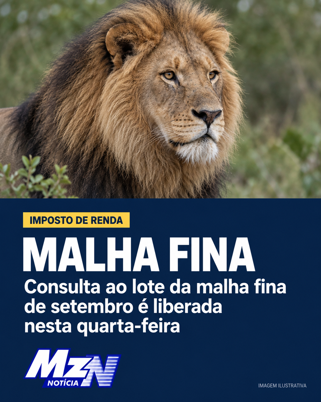 Consulta ao lote da malha fina de setembro é liberada nesta quarta-feira