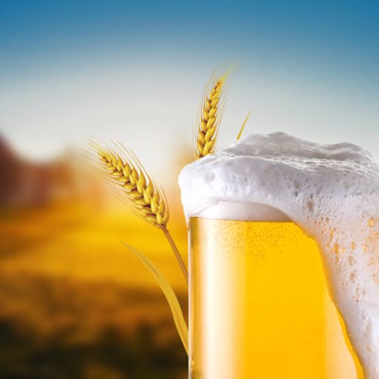 Microcervejarias de Ponta Grossa ganham força com reconhecimento estadual