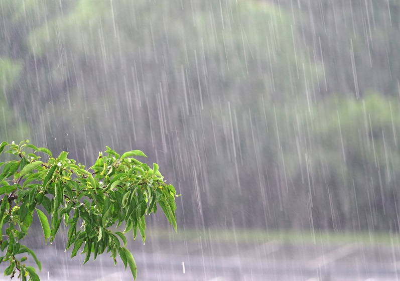 Ponta Grossa registra 52,8 mm de chuva nesta quinta-feira
