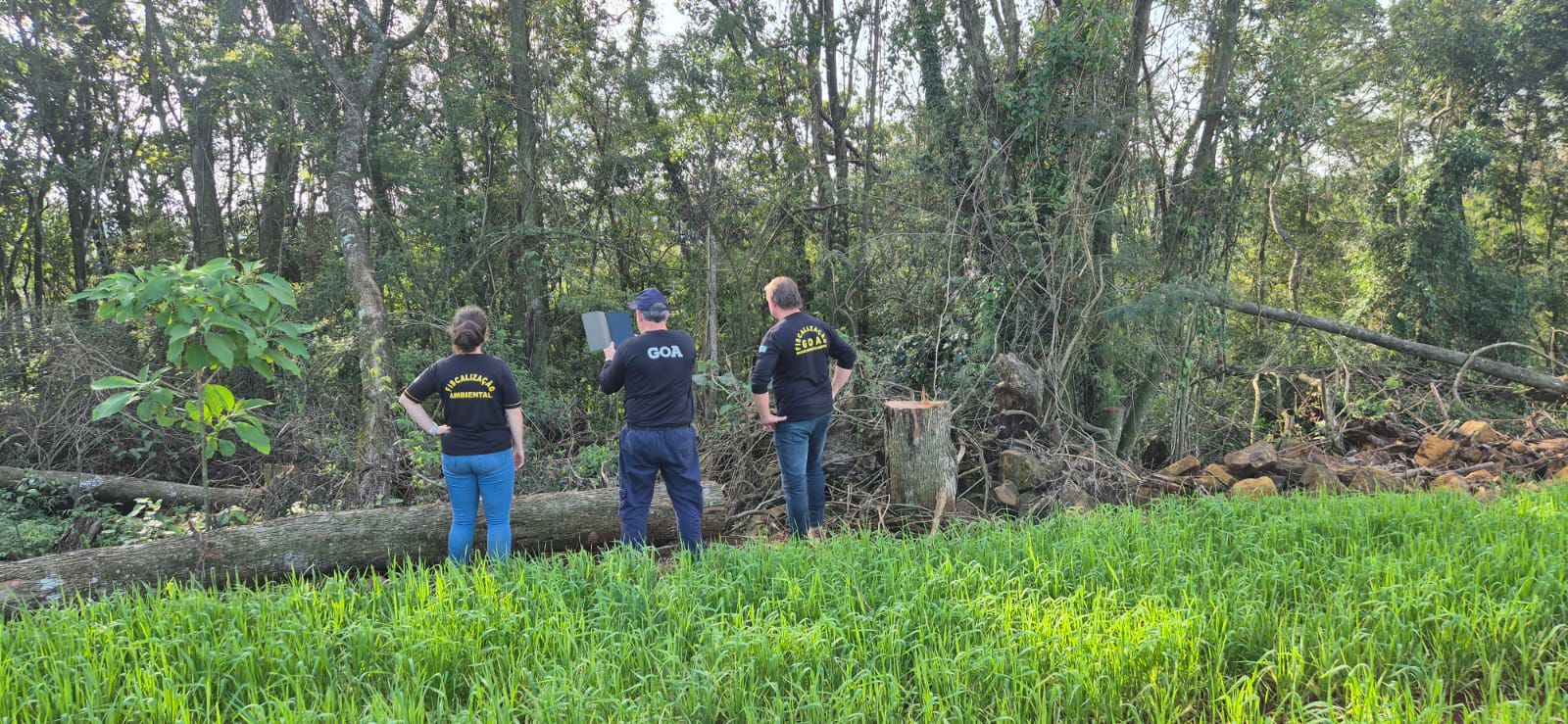 IAT aplica R$ 5,7 milhões em multas durante a Operação Mata Atlântica em Pé