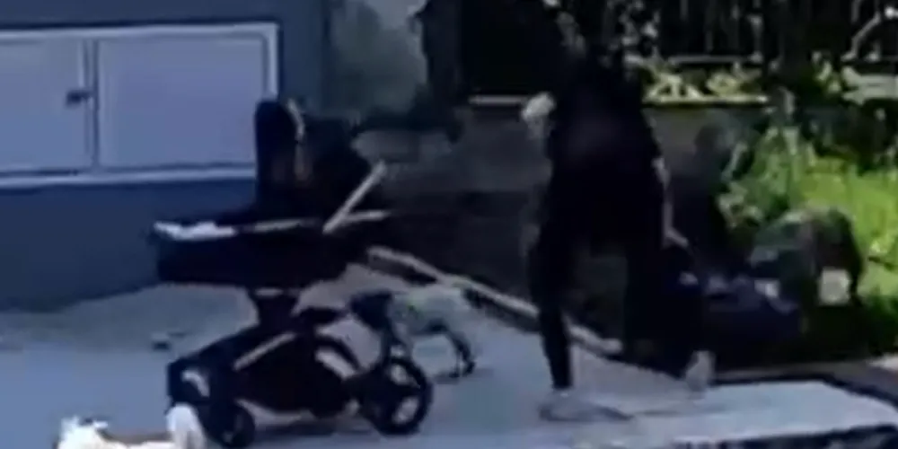 Tutora é responsabilizada após cães atacarem mulher com bebê em Ponta Grossa