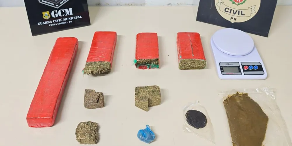Operação apreende 3 kg de maconha e 500 g de haxixe em Ponta Grossa