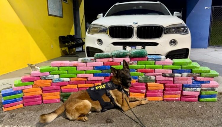PRF apreende 136 quilos de cocaína escondidos em BMW na BR-277