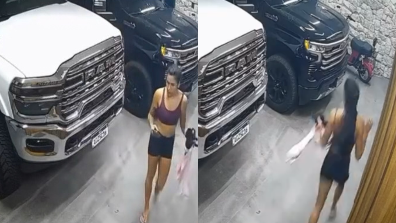 Ana Castela leva susto com gambá em casa e situação vira vídeo nas redes